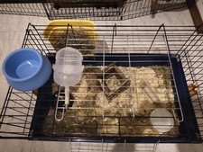 Gabbia per conigli e roditori con biber per l'acqua, ciotola e grata 