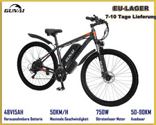 Bicicletta elettrica 29