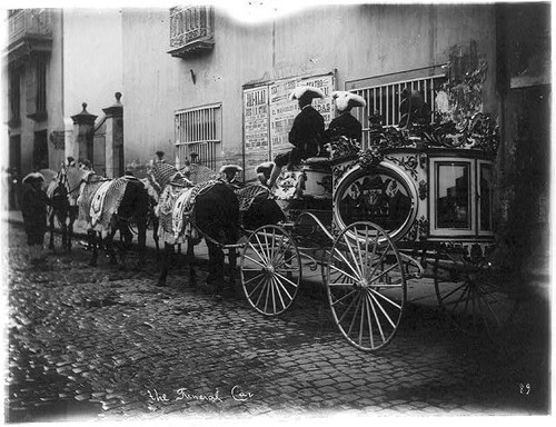 Foto auto funebre - foto:, l'auto