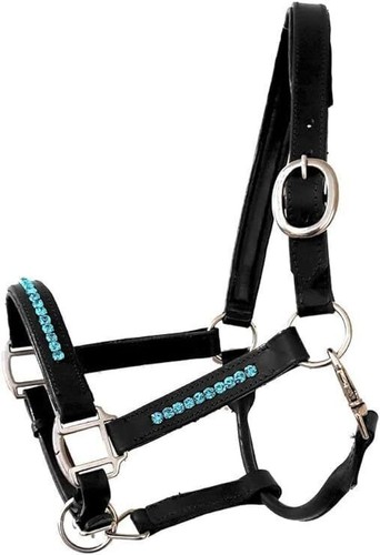Collare imbottito pelle con - collare,