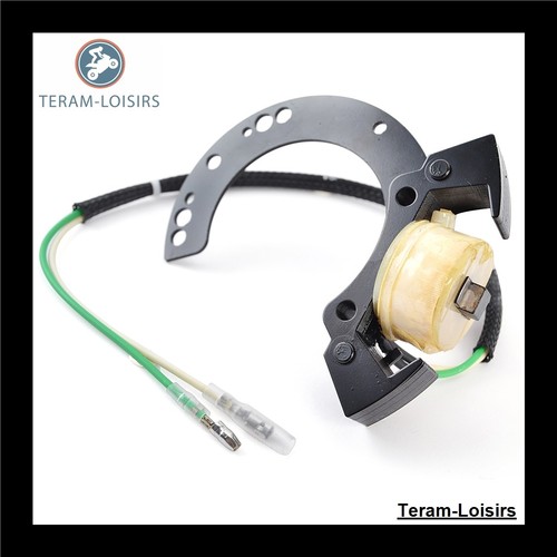Stator alternateur pour - stator,