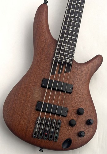 Basso elettrico ibanez - basso,