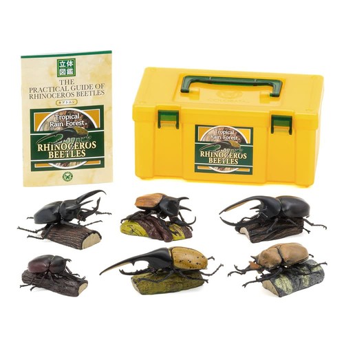 Colorata figura reale - ,