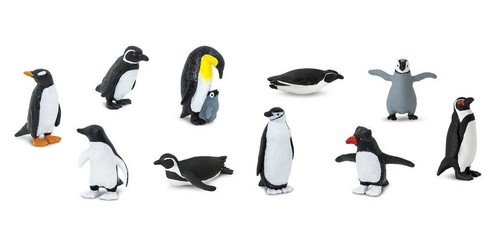 Pinguini safari - (7,