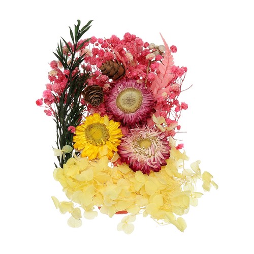 Set fiori secchi naturali - set,