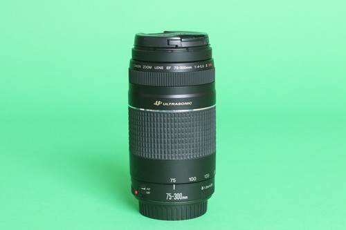 Canon 300 4 5 6 - mm, iii