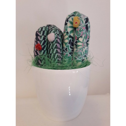 Cactus ferma finestra - ferma, o