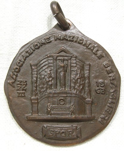 Medaglia viii raduno - medaglia,