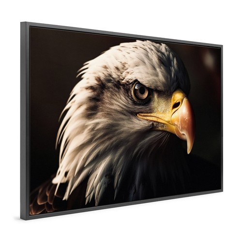 Quadro tela con cornice