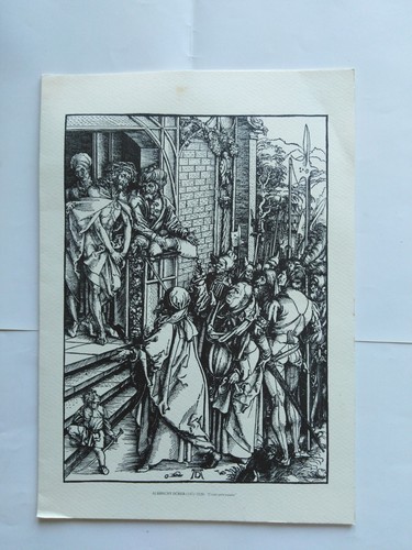Riproduzione albrecht durer - albrecht,