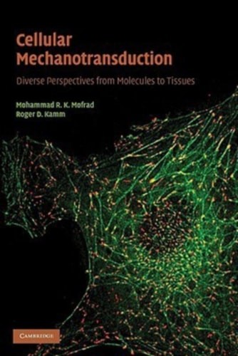 Cellular mechanotransduction - cellular,