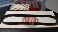 500385160 CINGHIA TRASMIS.6K 995 NUOV.ORIG.FIAT DUCATO 94/02 01/06 2800 JTD