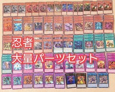 Yu-Gi-Oh Ninja Hanzo Young