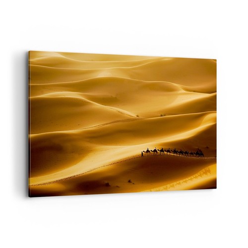 Quadro tela 120x80cm africa - quadro, su