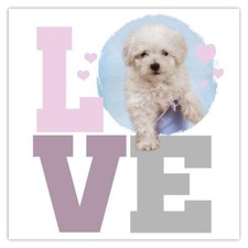 Adesivo regalo: barboncino