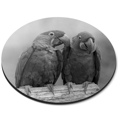 Round mouse mat cool - mouse, (bw)