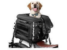 Goldfire Trasportino Moto per