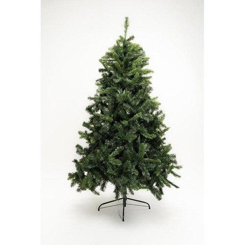 Albero natale baltico - baltico, pine