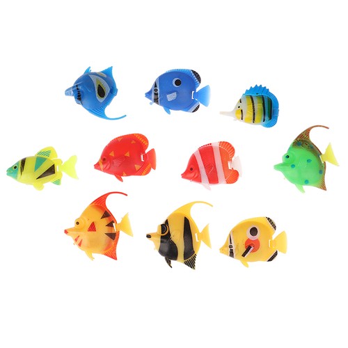 Pezzi pesci d acquario - pesci, d'acquario