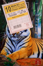 10 Quaderni A4 Fantasie