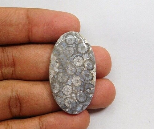 Nera naturale fossil - naturale, corallo