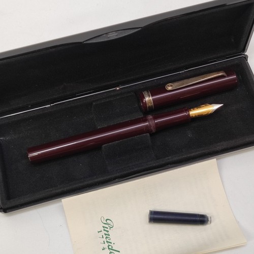 Penna stilografica pineider - penna,