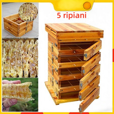 Arnia 5 Ripiani con Porta in