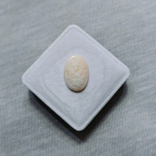 Corallo bianco rosa - , giapponese
