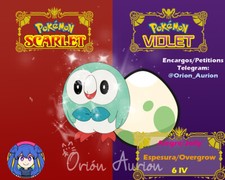 Huevos/ egg Rowlet Pokémon