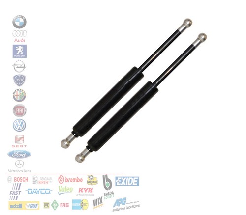 Coppia molle gas - gas, cofano