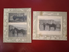 2 PHOTOS ON CARDBOARD cm 14 x