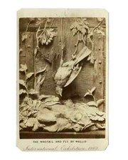 CDV Photo Still Life