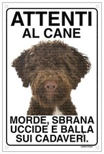 LAGOTTO Attenti al cane morde sbrana uccide e balla sui cadaveri 20X30