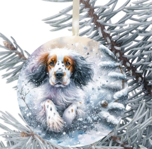 Setter inglese cane - , regalo