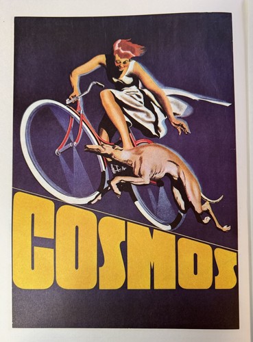 Poster bicicletta cosmos - poster,