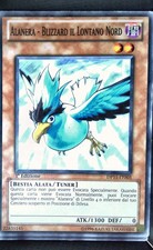 YGO ALANERA - BLIZZARD IL
