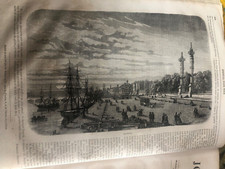 splendida stampa illustrazione