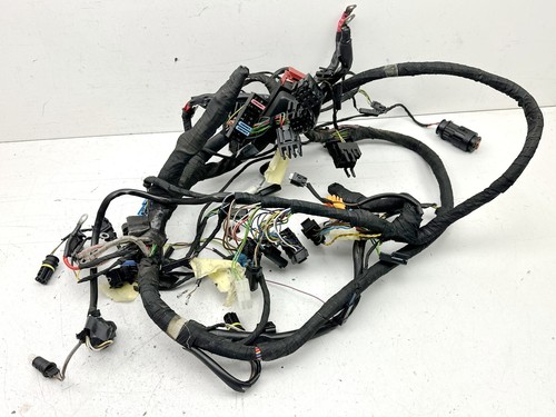Cablaggio principale bmw - principale, c1