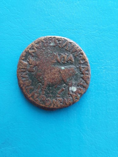 Tiberio tiberius toro - tiberio,