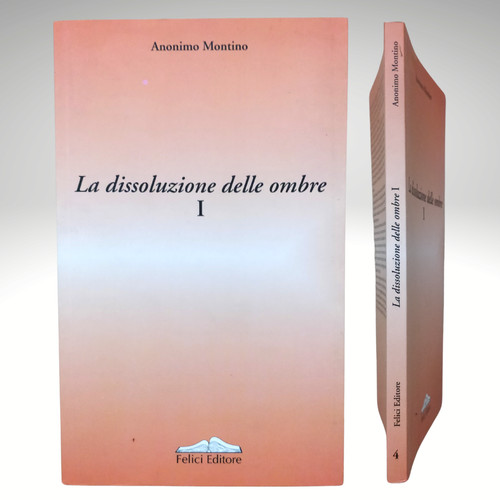 Libro romanzo nuovo - romanzo, la