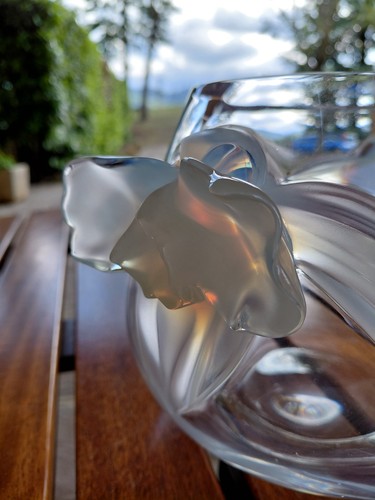 Lalique francia vaso cristallo - lalique,