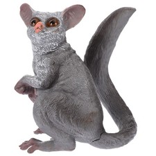 Petauro dello zucchero - petauro,