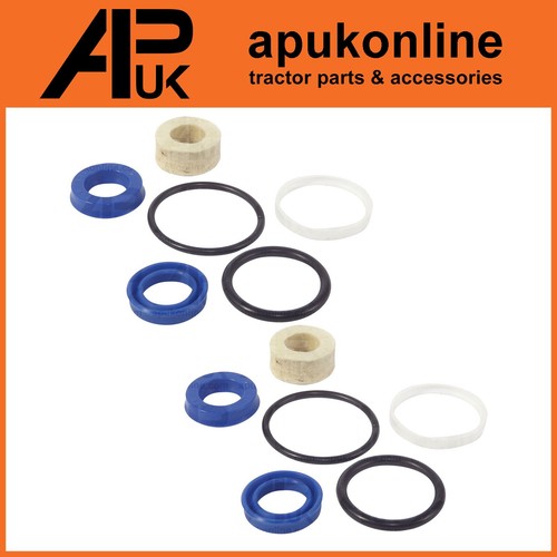 Coppia kit guarnizioni ram - kit,