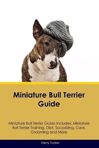 Miniature bull terrier guide - miniature,