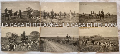 Cartoline caccia alla volpe - 6,