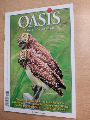 Oasis rivista cultura - oasis,