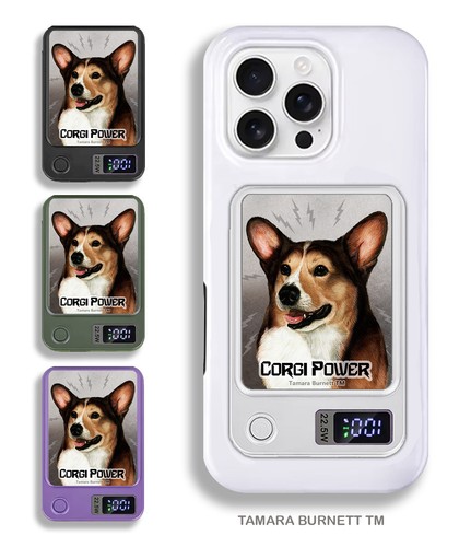 Corgi pembroke banca - pembroke,