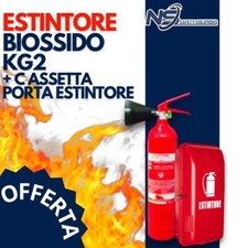 ESTINTORE CO2 +CASSETTA PORTA ESTINTORE