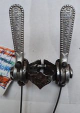 RECORD DOWN TUBE SHIFTERS