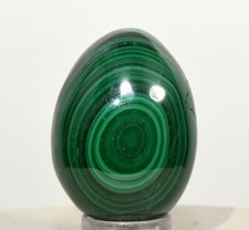 Uova Orbicolari Banded In